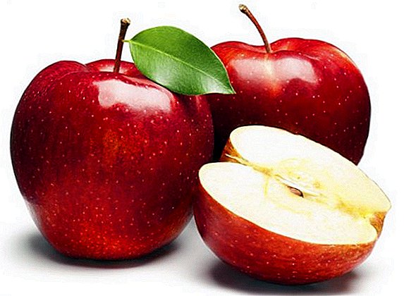 Recepti i posebnosti kuhanja ukiseljenih jabuka za zimu