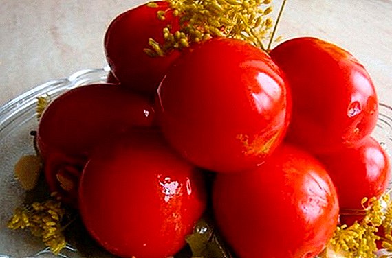 Recipes pou fè bon gou tomat sale pou sezon fredi a
