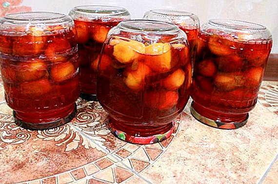 Plum Compote Resepte