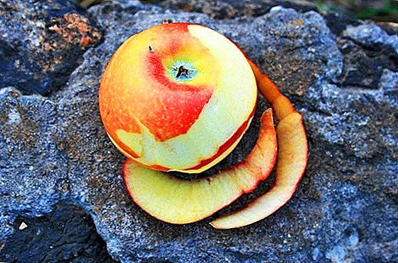 Рецепти празни места на јаболка за зима