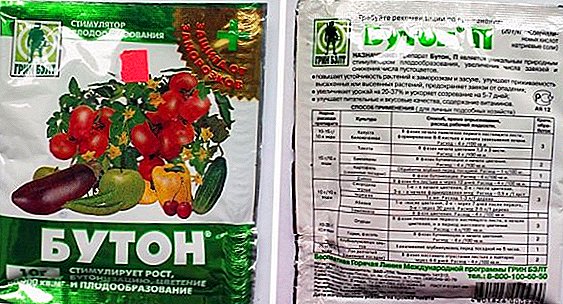 Regilatè kwasans plant: enstriksyon pou itilize nan yon stimulator nan "Bud" flè