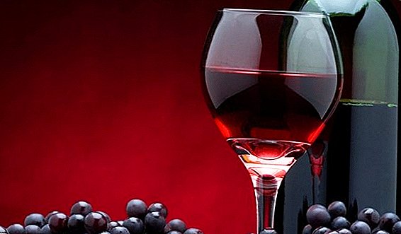 Tajne i recepti za izradu vina "Isabella" kod kuće