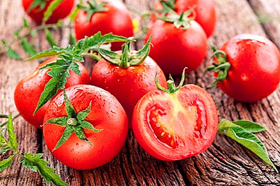 La plano de plantado de tomato en la forcejo kaj malfermita grundo