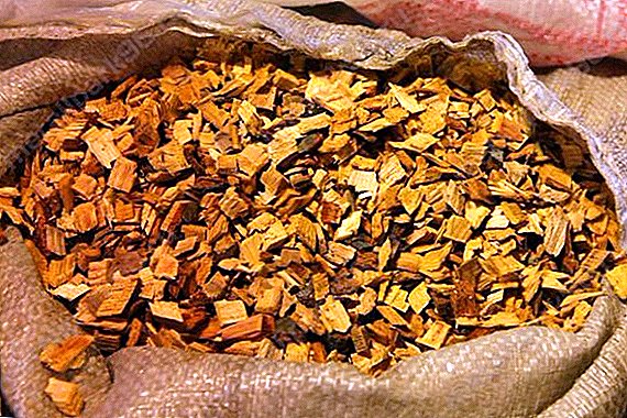 Chips for sigaarka: doorashada xaabada, goosashada, isticmaalka dhadhanka