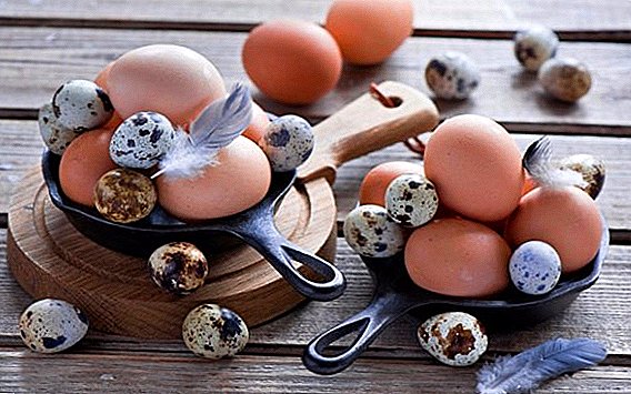 कच्चा अंडी: फायदा किंवा हानी