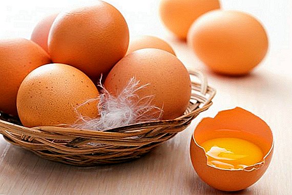 وزن تخم مرغ چقدر است؟