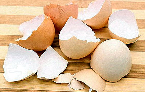 پوسته تخم مرغ: مزایا و آسیب، می توانید بخورید، در طب سنتی استفاده کنید