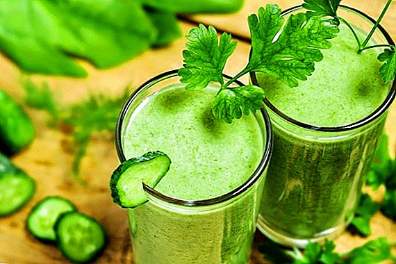 Burdock juice: kapaki-pakinabang na mga katangian at application sa gamot