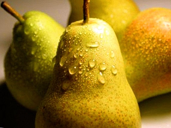 Pears dị iche iche "Bere Bosc": àgwà, uru na nkwekọrịta