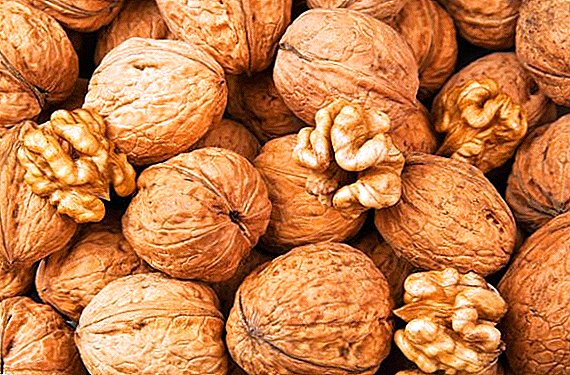 කාන්තාවන් සඳහා walnuts වල සංයුතිය හා වාසිදායක ගුණාංග