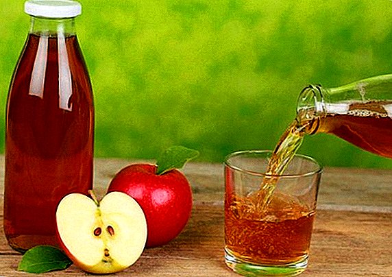 Ang komposisyon, mga benepisyo, recipe para sa apple juice