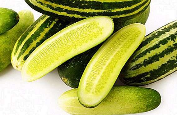 Cucumbers च्या असामान्य वाणांची यादी