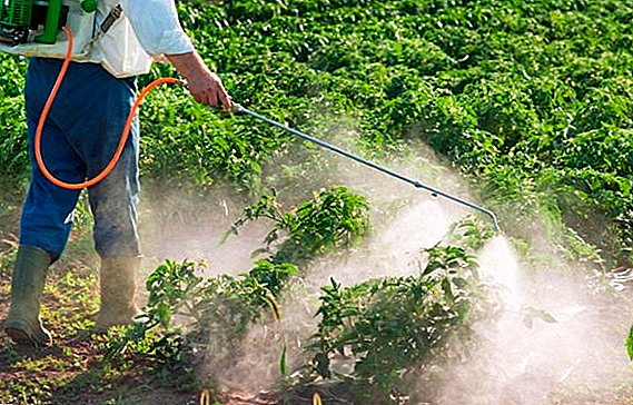 Listahan sa labing popular nga mga insecticide nga adunay paghulagway ug litrato