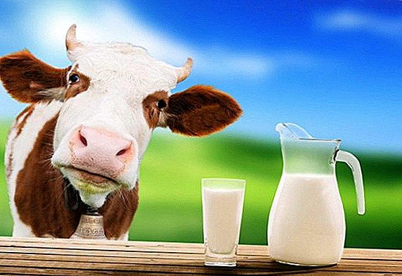 Metode prerade i vrste kravljeg mleka