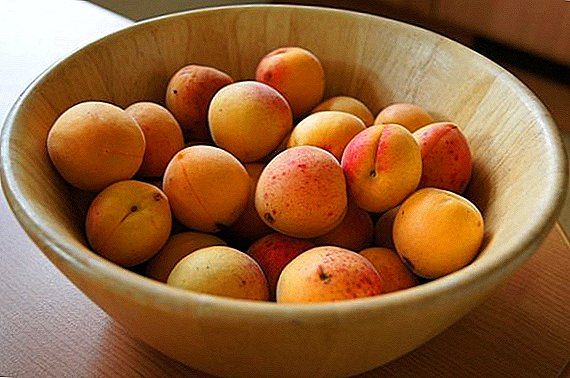 Izindlela zokuvuna ama-apricot ebusika