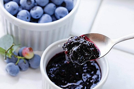Blueberries biltzeko moduak: zer fruitu erabilgarria egin daiteke neguan