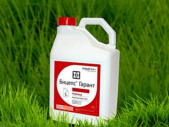Medios de malas herbas Biceps Garant: ingrediente activo, método de uso, taxas de consumo