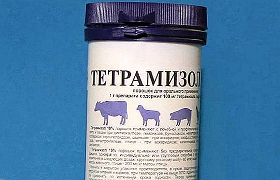 "Tetramizol": বিভিন্ন প্রাণীদের জন্য ব্যবহারের জন্য নির্দেশাবলী