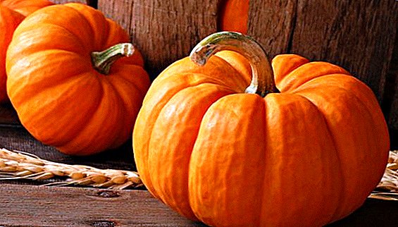 Pumpkin жана терминология: жемиш, мөмө-жемиш жана жашылча