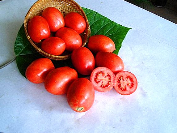 Ntugharị Tomato: nkọwa dịgasị iche iche, mkpụrụ, kụrụ na nlekọta