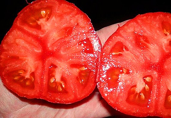 Tomato "Strawberry Tree" - isang independiyenteng mataas na mapagbigay na iba't