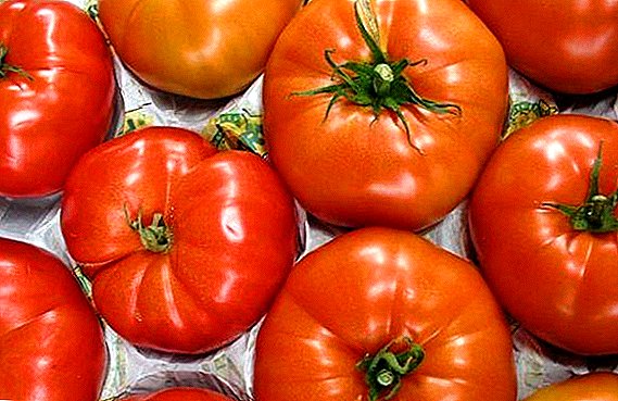 Sallatë domate Cap Monomakh: fotot, përshkrimi dhe rendimenti