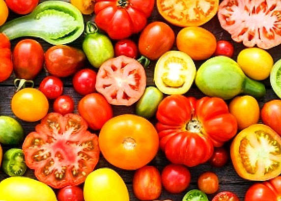 Tomatoes mo te rohe o Leningrad: nga whakaahua o nga momo pai