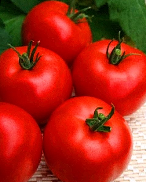 ʻO Tomatoes no ka Moscow Moscow: nāʻano o nāʻano maikaʻi