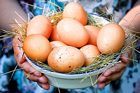 Zahtjevi za kokošjim jajima, označavajući svježinu jaja