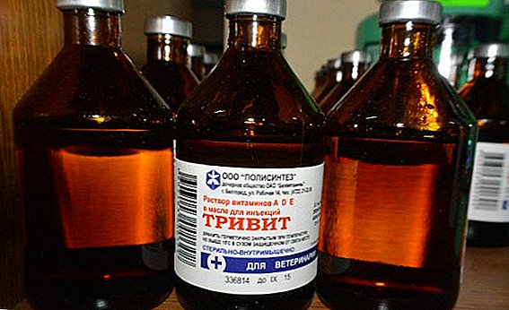 "Trivit": pedaran, pasipatan farmasi, instruksi