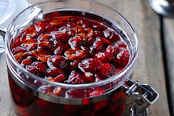 Hawthorn jam para sa taglamig: step-by-step cooking recipe