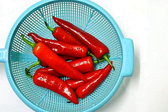 hipertenzija hot pepper)