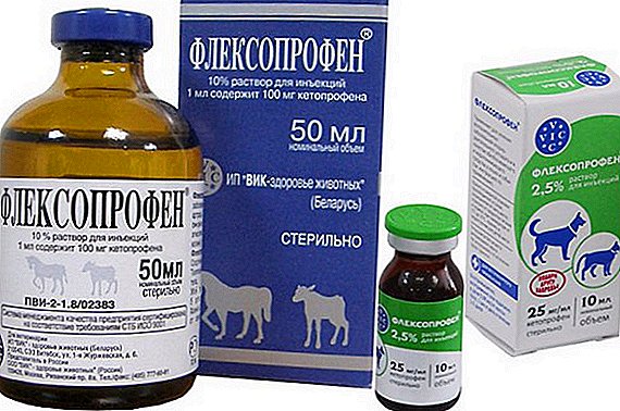 Ny veterinary "Flexoprofen": torolàlana, dosage