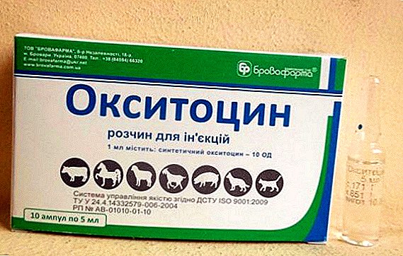 Oxytocin veterinary drug