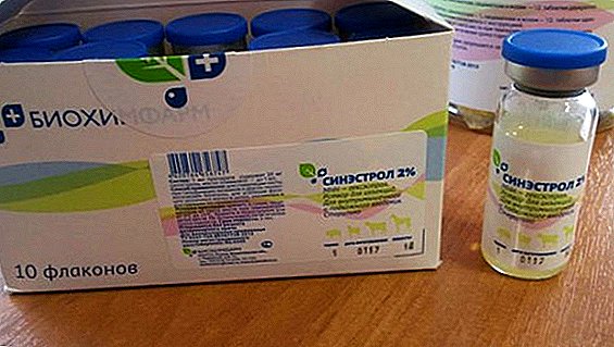 Veterinarski lijek "Sinestrol": indikacije i kontraindikacije, upute