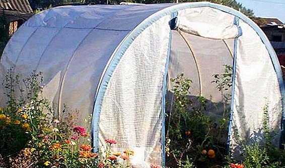 Ịhọrọ ihe nkiri maka greenhouses: isi ụdị griin haus ịse na nhọrọ njirisi