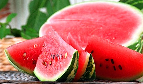 Jenis semangka lan manfaat kanggo awak manungsa