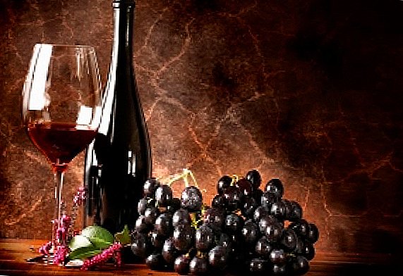 Вино "Изабела": карактеристики на готвење дома