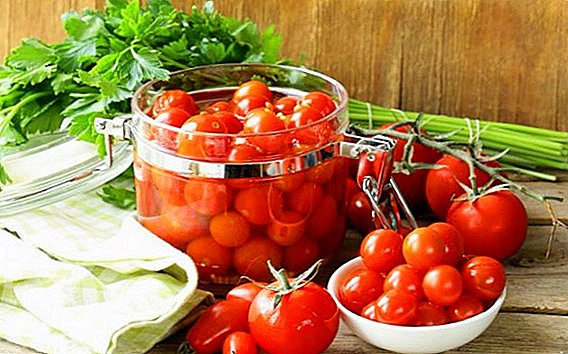 Receta të shijshme dhe të shpejta hap pas hapi për të korrur domate për dimër me foto dhe video