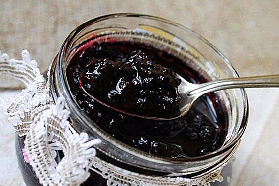 Delicious Rezepte vu schwarz Johannisbroutel fir de Wanter