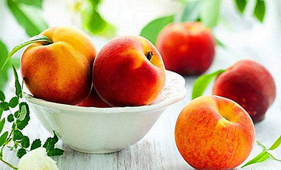 Gjithcka rreth nektarinës: çfarë fruta është e mirë për trupin e njeriut