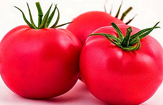 Pink Paradise Japonè ibrid: avantaj ak dezavantaj nan tomat
