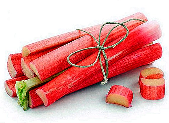 Panen rhubarb kanggo mangsa: carane nyimpen sayur-sayuran