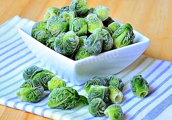 Frozen Brussels sprouts don hunturu: wani mataki-by-mataki girke-girke tare da hotuna