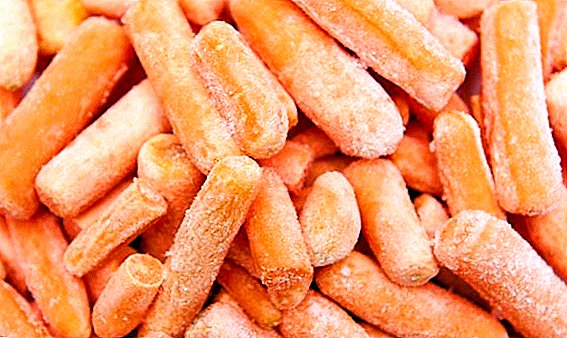 Замрзнување моркови за зима дома: најдобрите рецепти