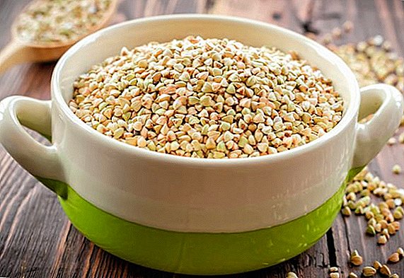 Green buckwheat: calorie, komposisyon, benepisyo at pinsala