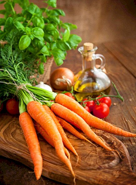 Се запознаваме со сортата морков за московскиот регион