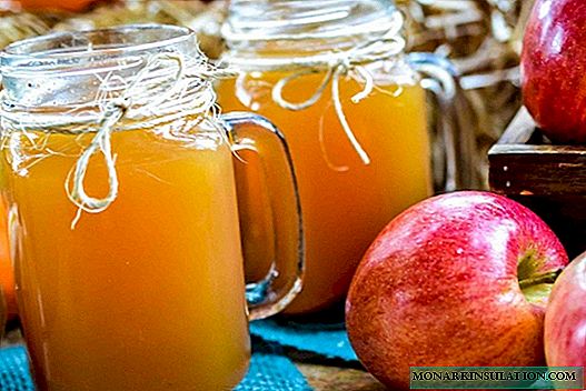 10 originalnih ideja za berbu jabuka za zimu