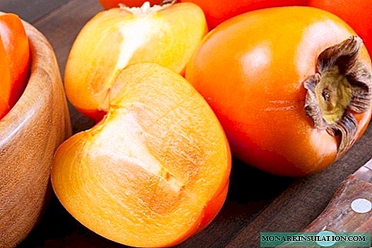 10 originalnih ideja za žetvu persimmonsa za zimu