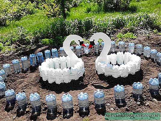 Што можете да направите од пластични шишиња за вашата градина: 15 апликации